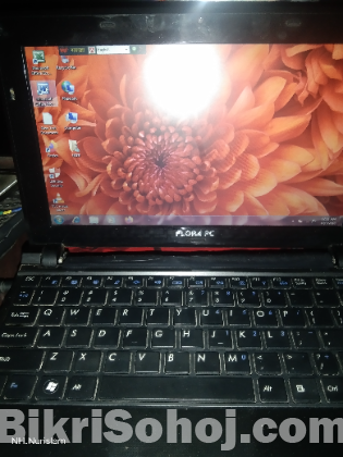 Flora pc